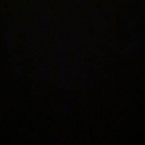 Meet your Posher, Oriana